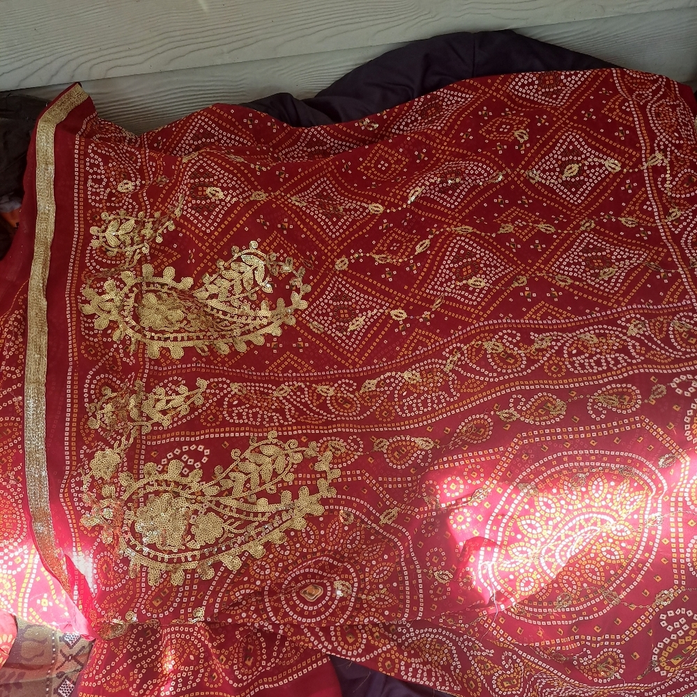 Sari Red/Gold reflects light